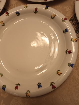 Set ciotola + 6 piatti piani