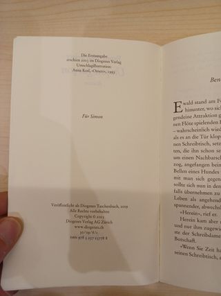 "Un joli garçon", Fanny Morweiser, Roman