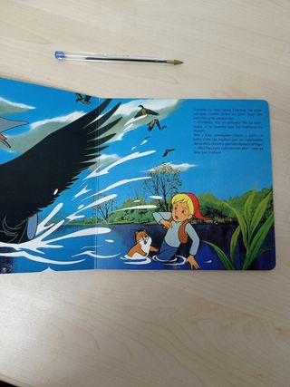 Libro maravillosas aventuras