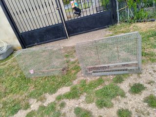 Jaula para animales vivos conejos hurone