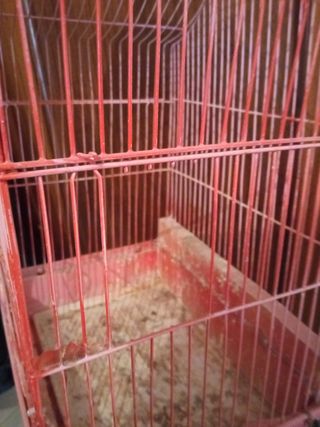 Lote de jaulas LEER DESCRIPCION