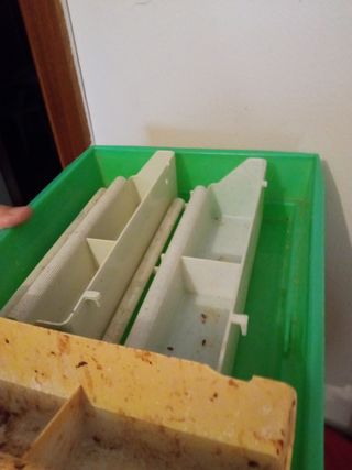 Lote de jaulas LEER DESCRIPCION