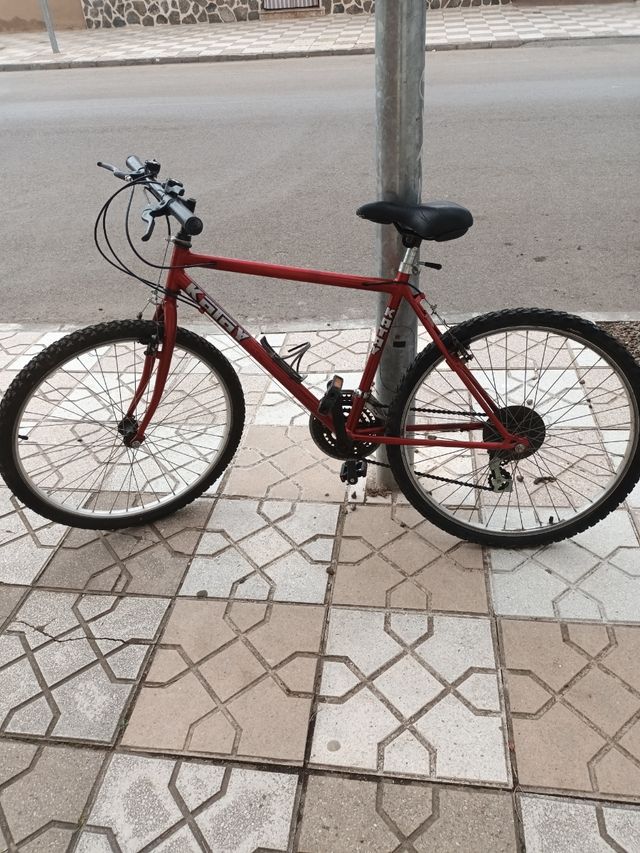 Bicicleta