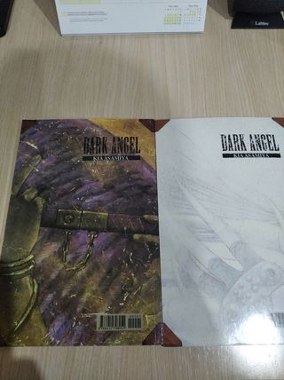 Dark Angel n° 1 y 2 (manga)
