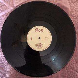LA RUINA - Disco Vinilo