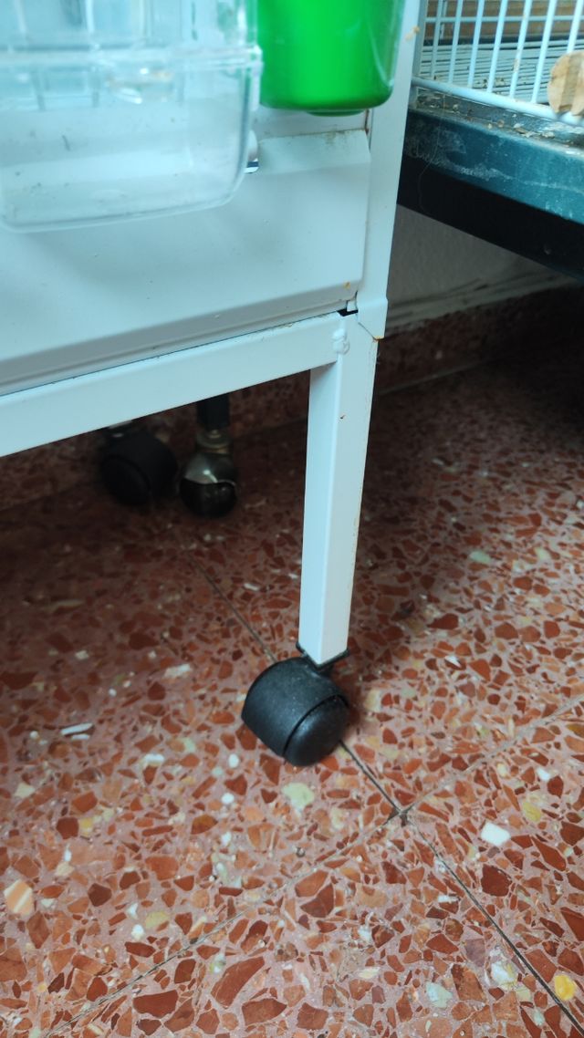 Jaula de cria para canarios