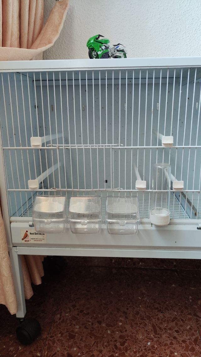 Jaula de cria para canarios