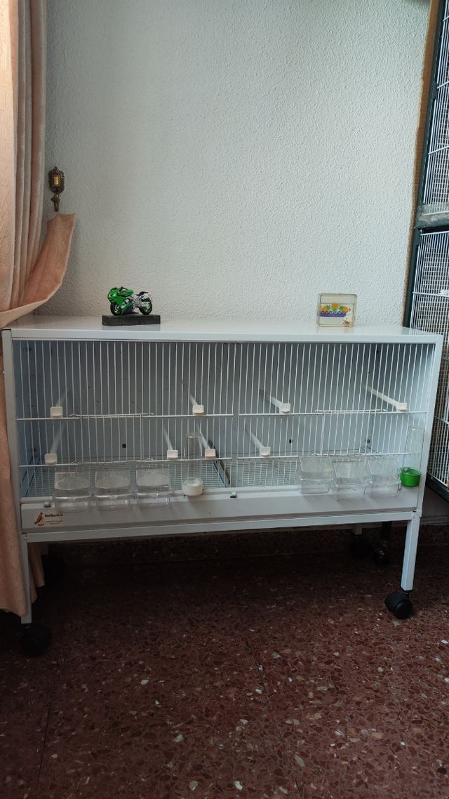 Jaula de cria para canarios