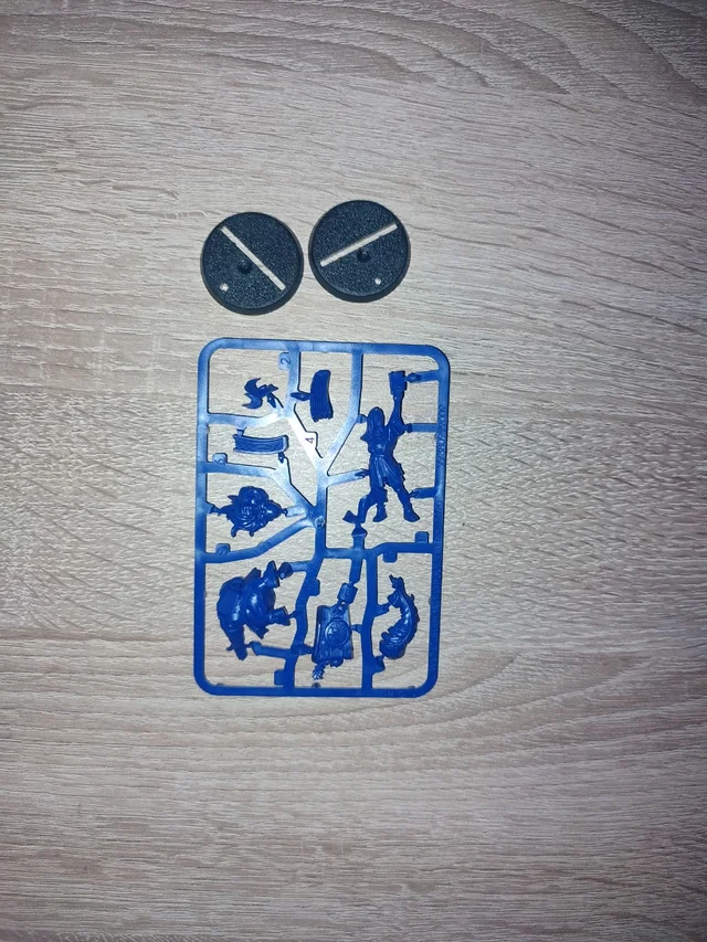 Árbitros Blood Bowl 2020 (elfo, enano)