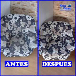 Limpieza profesional de sofás
