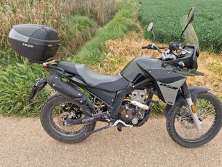 UM DSR ADVENTURE TT 125cc