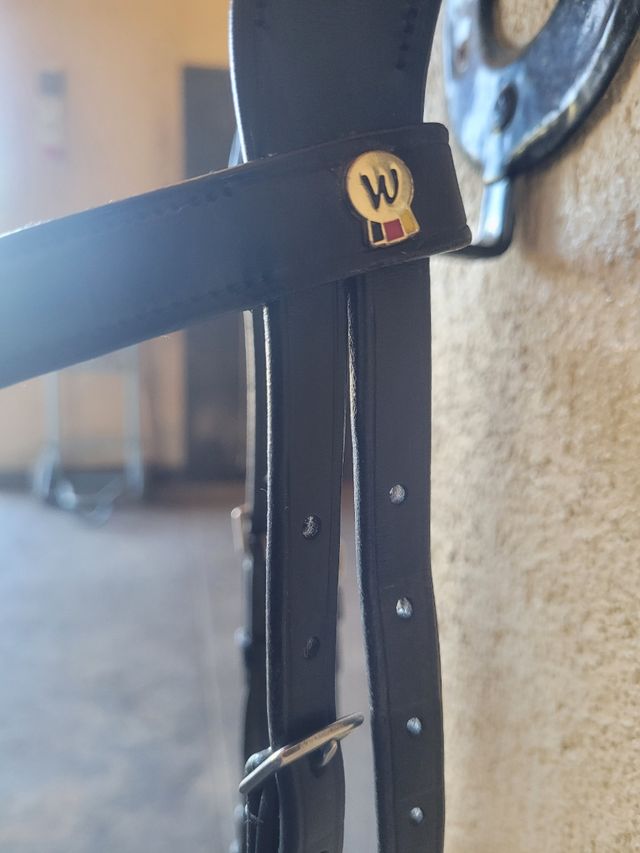 Brida Waldhousen S-Line Sensation