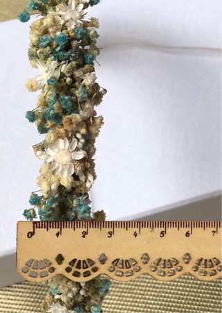 Corona de paniculata preservada