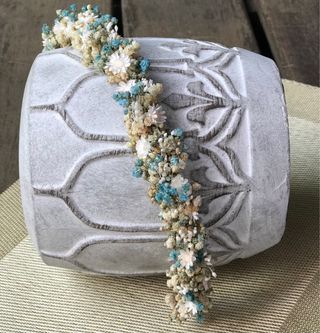 Corona de paniculata preservada