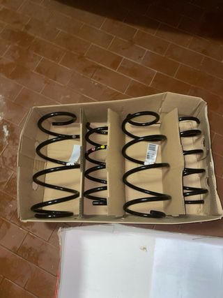 Molle ammortizzatori Fiat 500