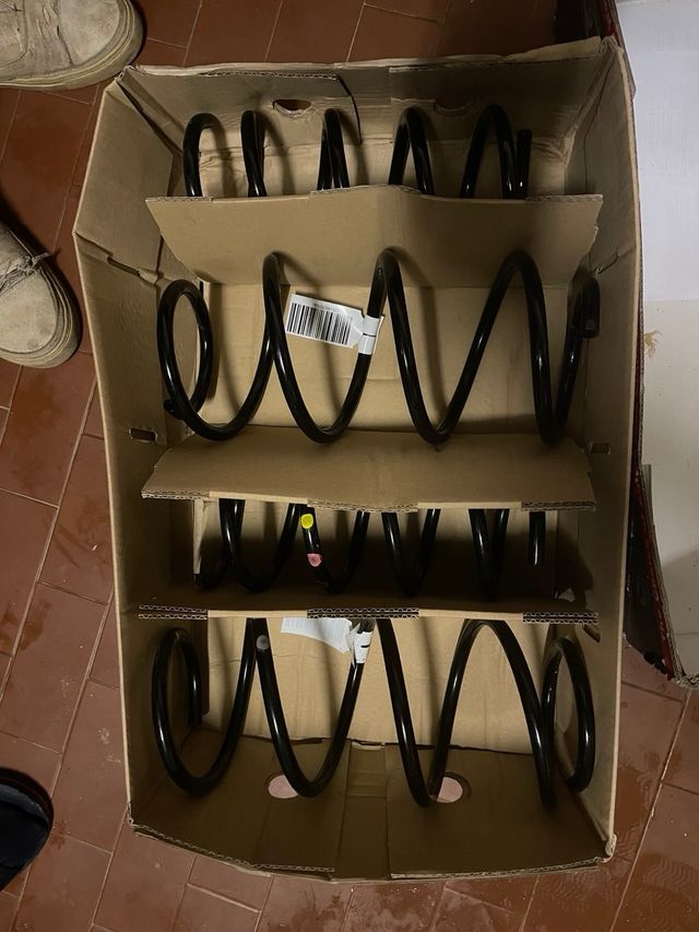 Molle ammortizzatori Fiat 500