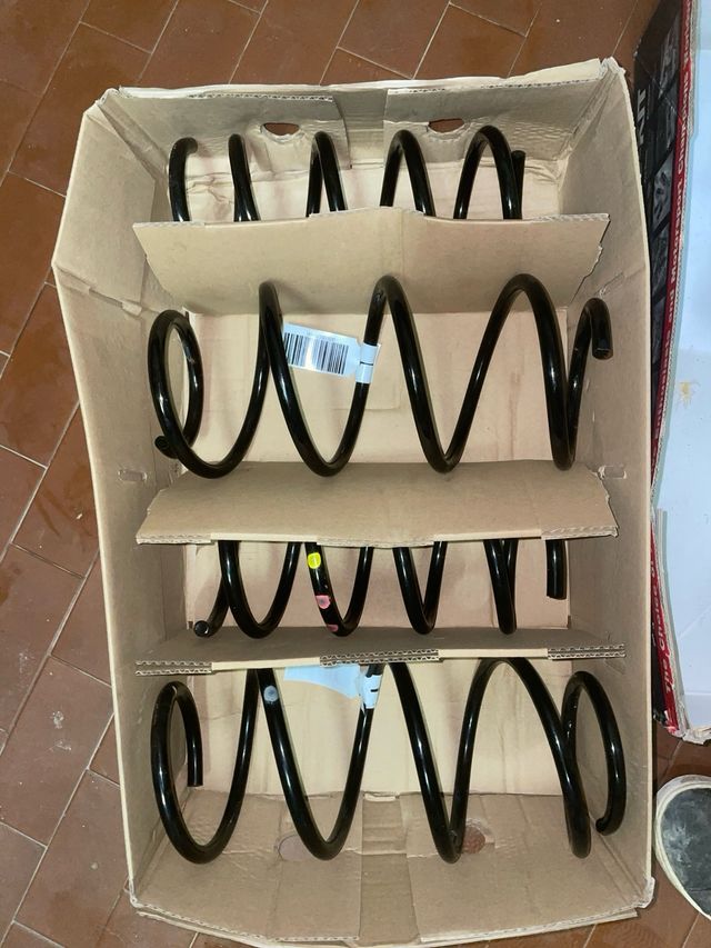 Molle ammortizzatori Fiat 500