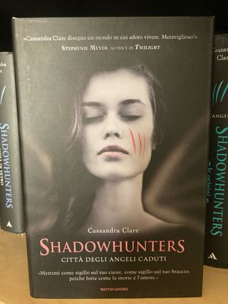 Shadowhunters