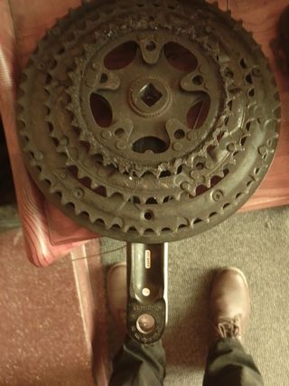 Bielas Shimano tourney