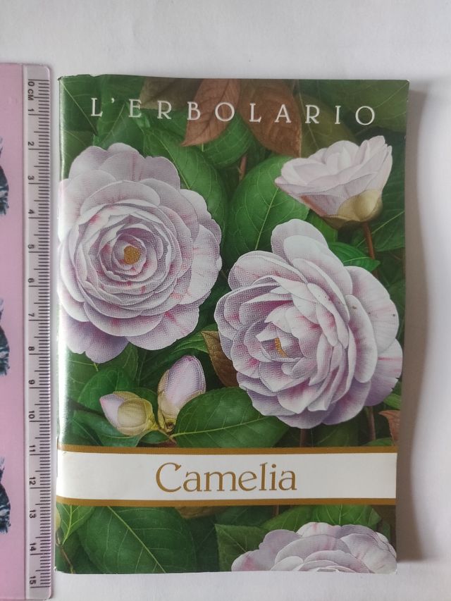 Set quadernini 14 cm