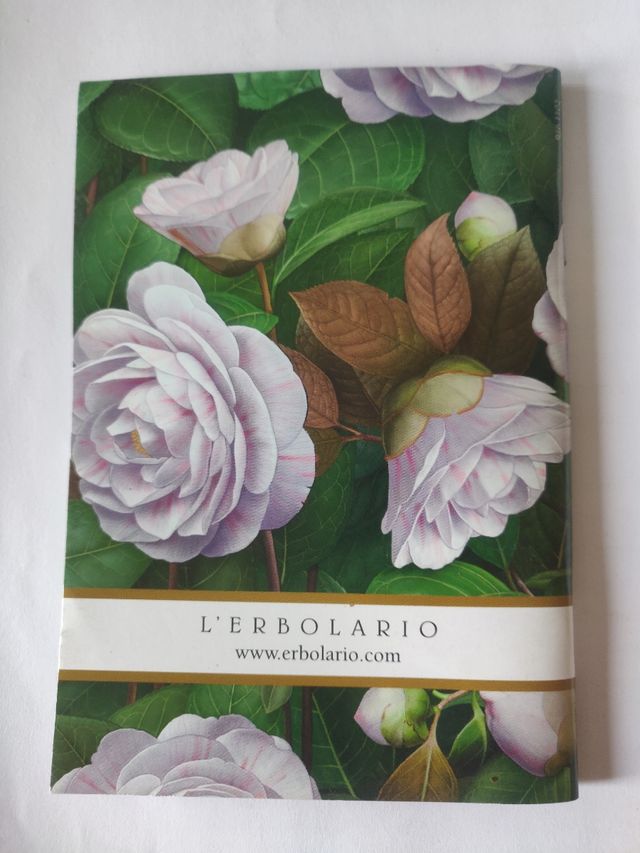 Set quadernini 14 cm