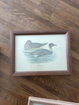 Tre quadretti con stampe