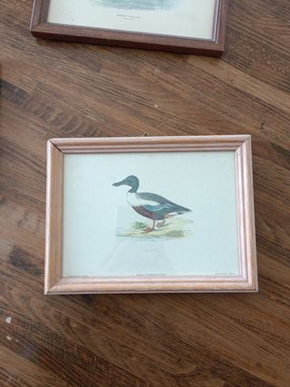 Tre quadretti con stampe