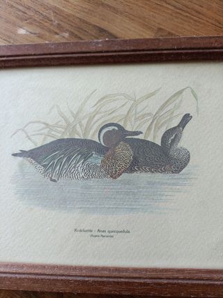 Tre quadretti con stampe