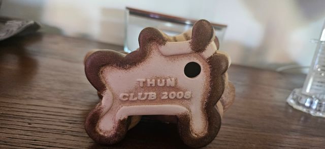 Thun club 2008 Cavallo