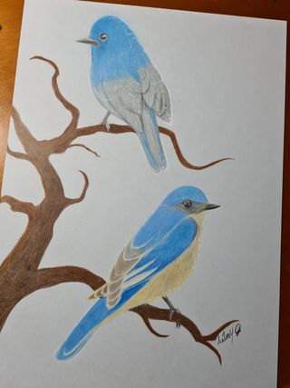 Disegno Uccellini su albero