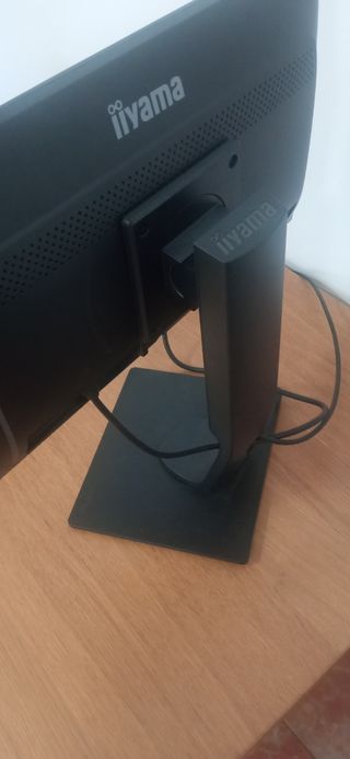 Monitor Iiyama Prolite B2083HSD rotatorio
