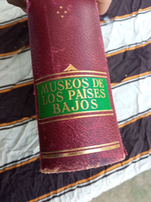 Libro galerías de Europa, museo de los países bajo