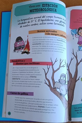 El gran libro del cuerpo humano