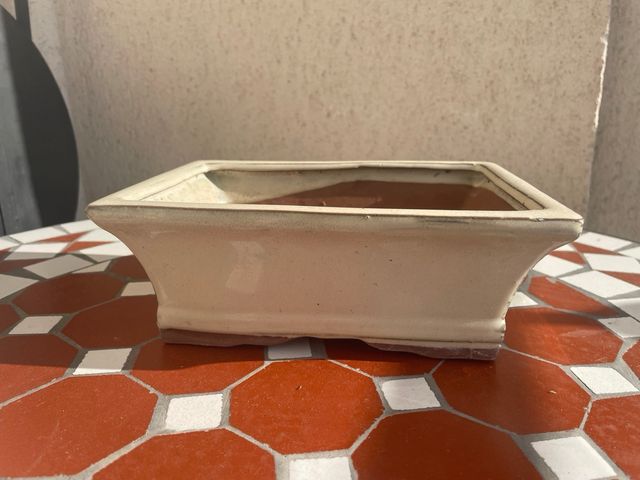 Maceta original beige para bonsais. De barro