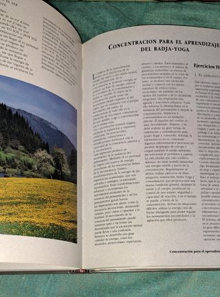 YOGA, RETORNO A LA ARMONÍA,  SUSAETA