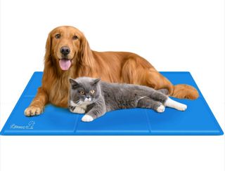 Materassino rinfrescante per cani