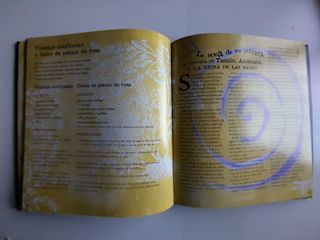 Libro juegos aprendiz de brujo. Janice Eaton Kilby