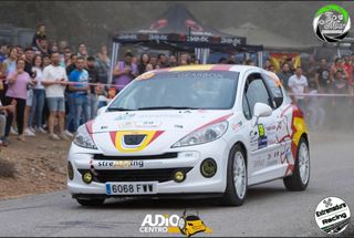 Peugeot 207 2014