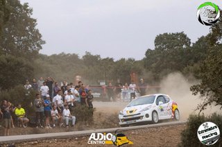 Peugeot 207 2014