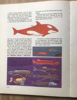 Libro infantil El Mundo en que vivimos 2 volumenes