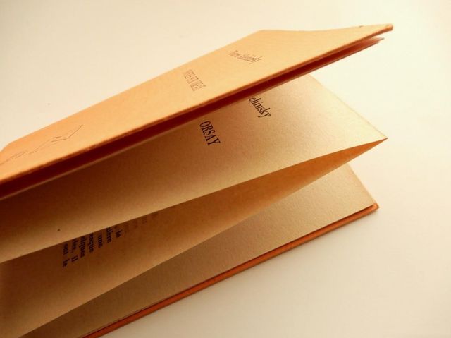 PIERRE ALECHINSKY NOTES SUR ORSAY L'ECHOPPE 1989