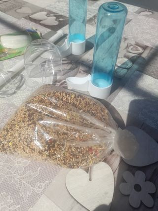 Bebedero comedero aves