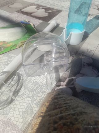 Bebedero comedero aves