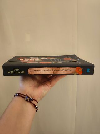 O Dicionário das Palavras Perdidas