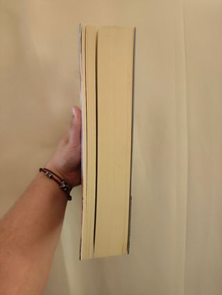 Os Cinco Herdeiros, Elizabeth Adler