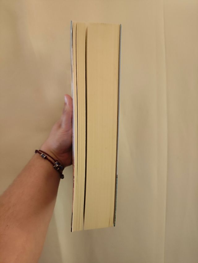 Os Cinco Herdeiros, Elizabeth Adler