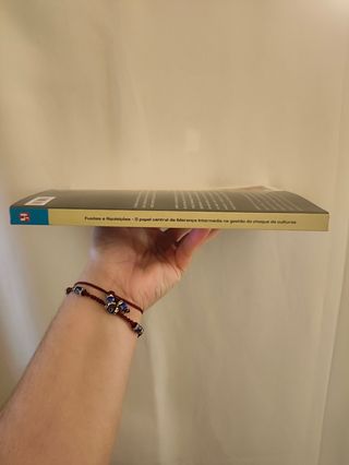 Fusões e Aquisições, Damasceno Dias