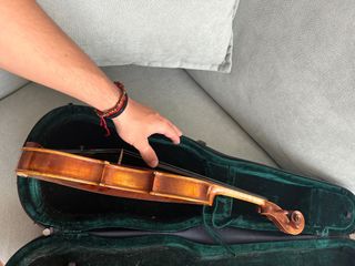violin 1/2