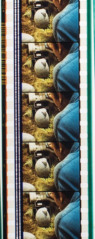 Jurassic Park (1993) fotogramas originales 35mm