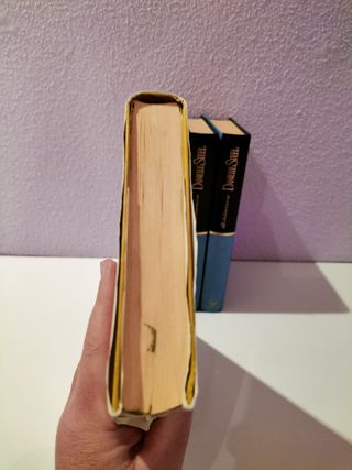 Libros Danielle Steel